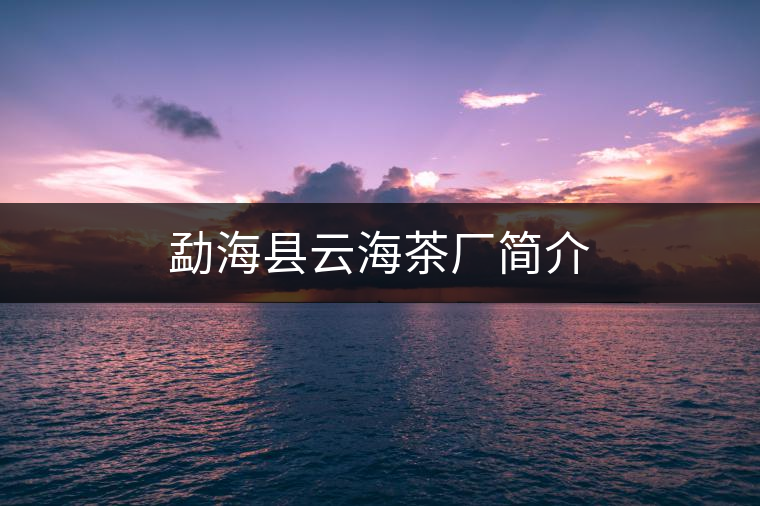 勐?？h云海茶廠簡介