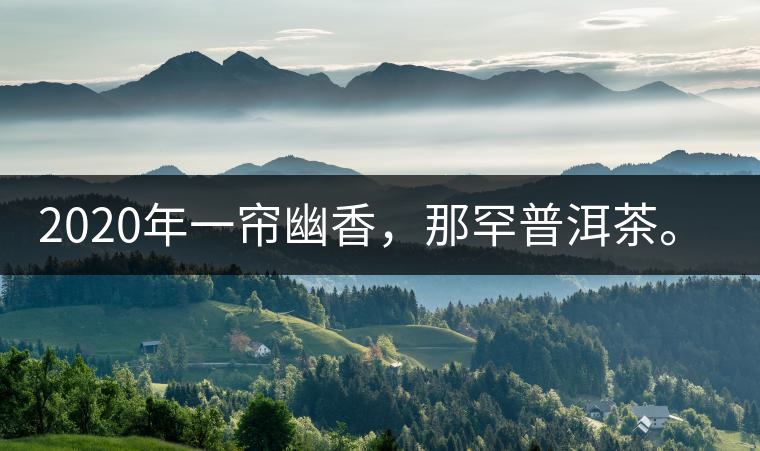 2020年一簾幽香，那罕普洱茶。-易武中聘號