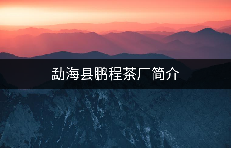 勐?？h鵬程茶廠簡(jiǎn)介