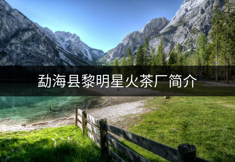 勐?？h黎明星火茶廠簡介