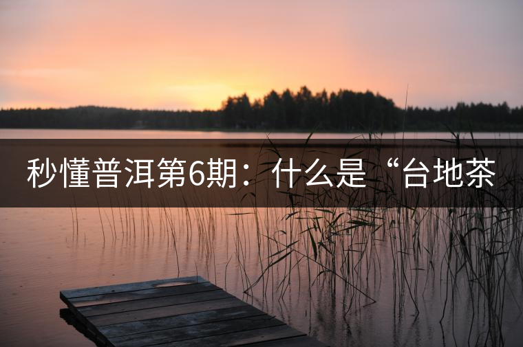 秒懂普洱第6期：什么是“臺地茶”？