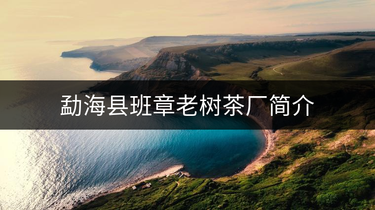 勐?？h班章老樹茶廠簡介