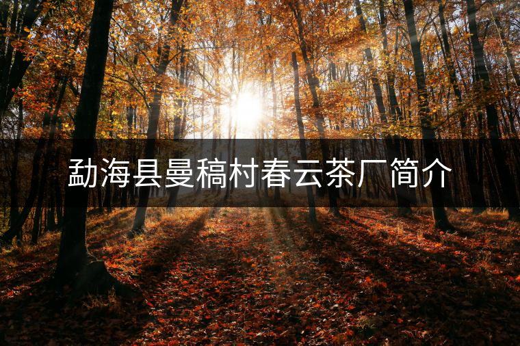 勐?？h曼稿村春云茶廠簡介