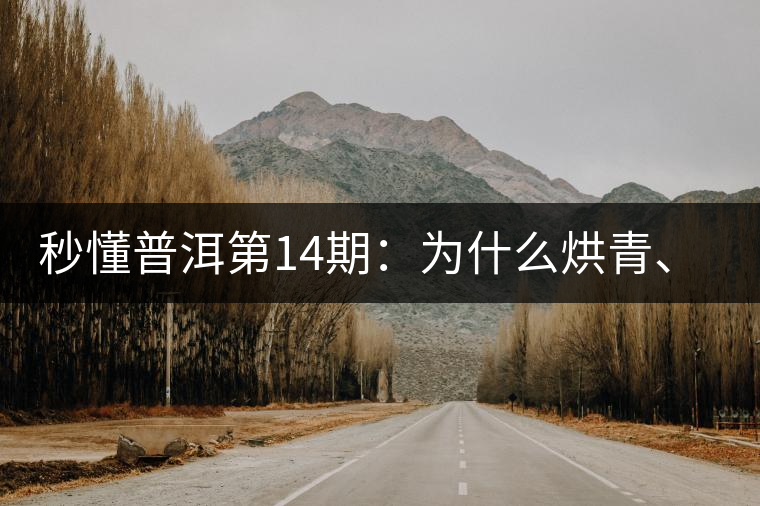 秒懂普洱第14期：為什么烘青、炒青綠茶不能用來(lái)加工普洱茶？