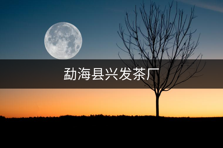 勐?？h興發(fā)茶廠