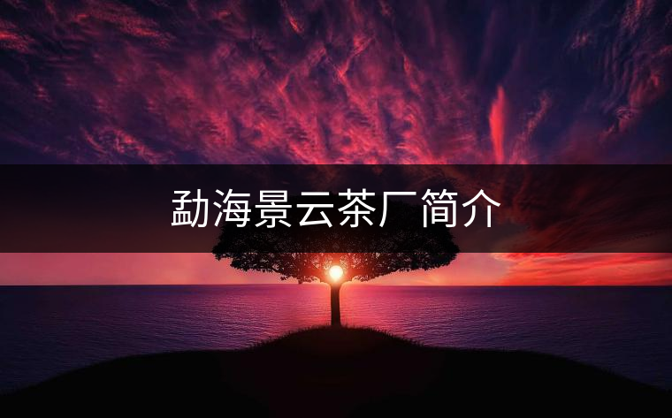 勐海景云茶廠簡介 勐海景云茶廠簡介