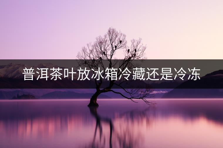 普洱茶葉放冰箱冷藏還是冷凍