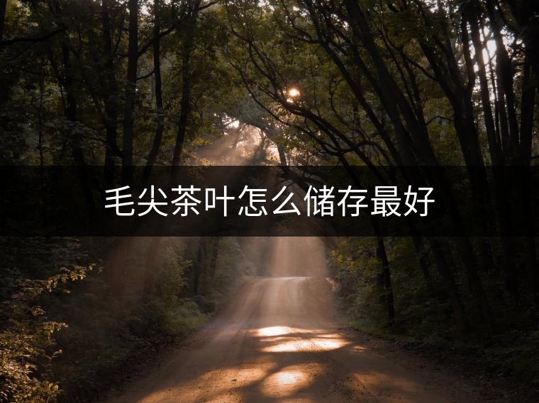 毛尖茶葉怎么儲存最好