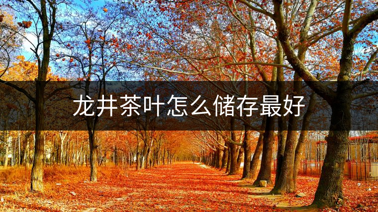 龍井茶葉怎么儲存最好 龍井茶葉怎么儲存最好