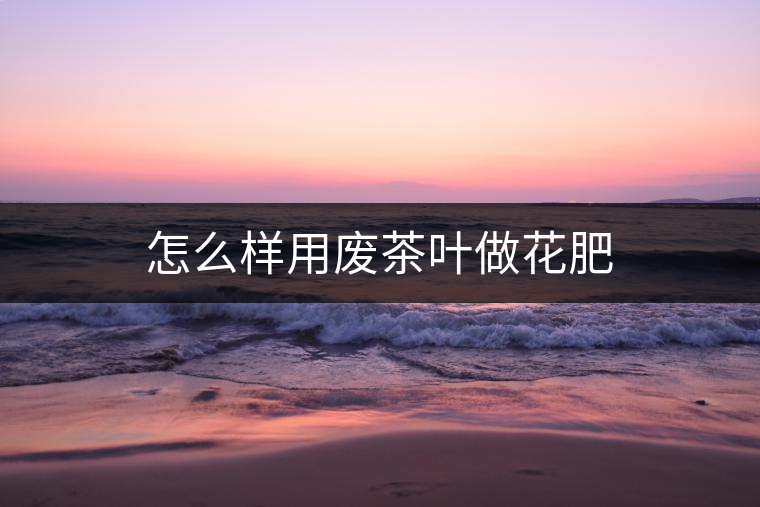 怎么樣用廢茶葉做花肥
