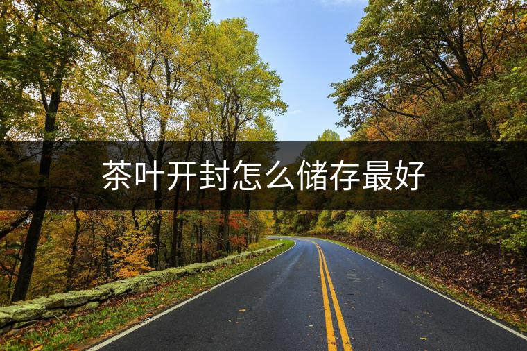茶葉開封怎么儲存最好