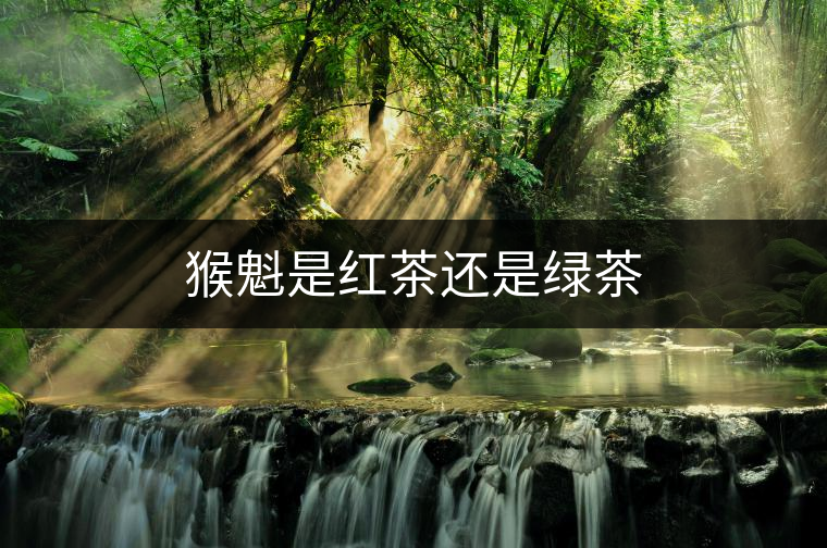 猴魁是紅茶還是綠茶