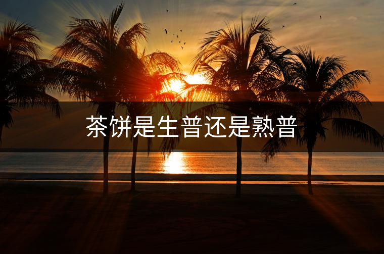 茶餅是生普還是熟普 茶餅是生普還是熟普