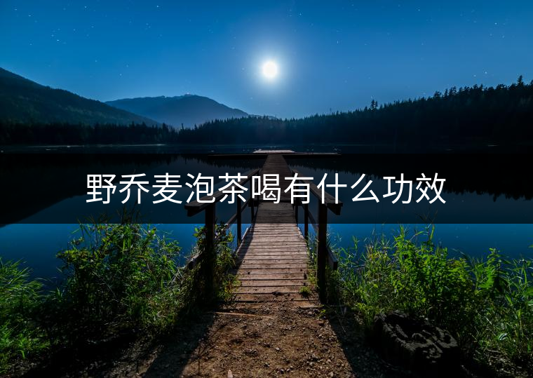 野喬麥泡茶喝有什么功效 野喬麥泡茶喝有什么功效