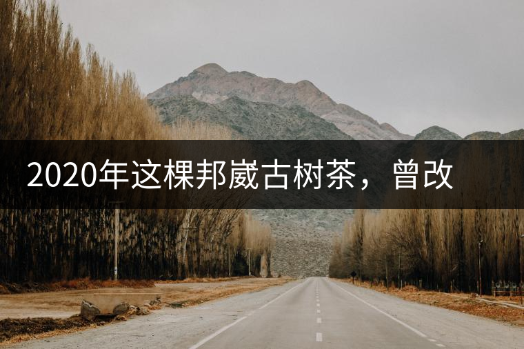 2020年這棵邦崴古樹(shù)茶，曾改寫(xiě)普洱茶歷史！-易武中聘號(hào)