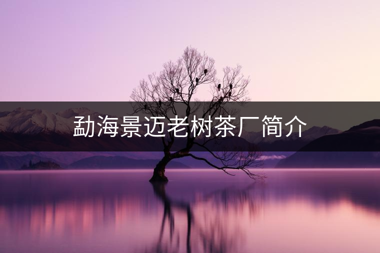 勐海景邁老樹(shù)茶廠簡(jiǎn)介