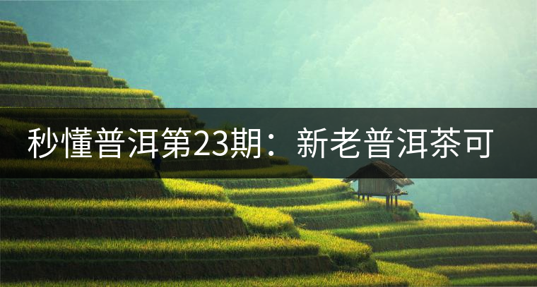秒懂普洱第23期：新老普洱茶可以放到一起嗎？