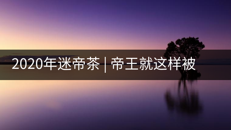 2020年迷帝茶 | 帝王就這樣被迷住了？-易武中聘號(hào)