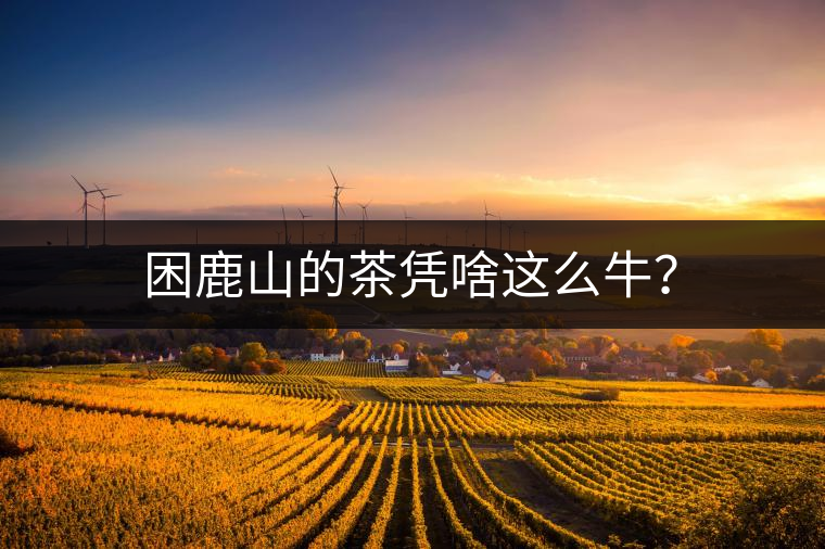 困鹿山的茶憑啥這么牛？