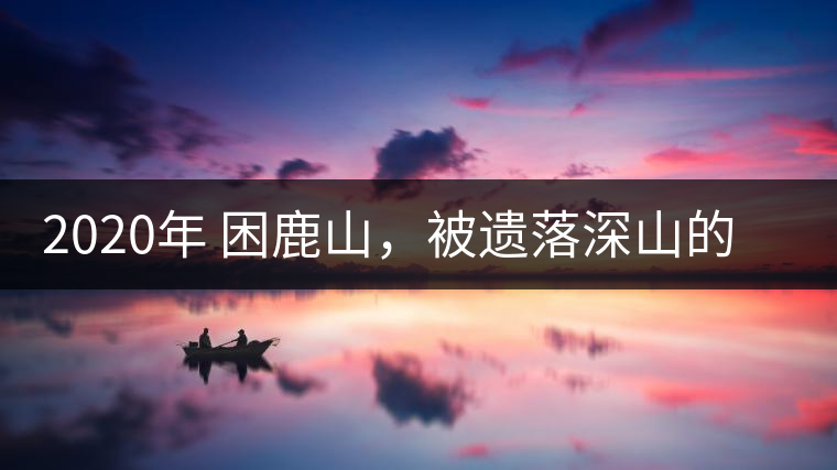 2020年 困鹿山，被遺落深山的皇家古茶園-易武中聘號