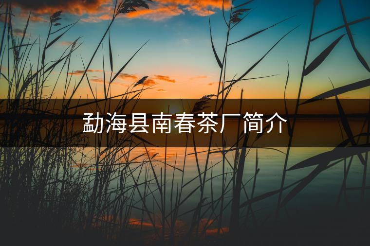 勐?？h南春茶廠簡介