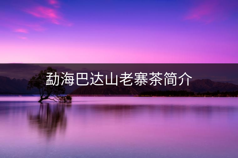 勐海巴達山老寨茶簡介 勐海巴達山老寨茶簡介