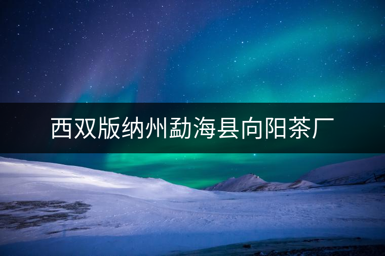 西雙版納州勐?？h向陽(yáng)茶廠
