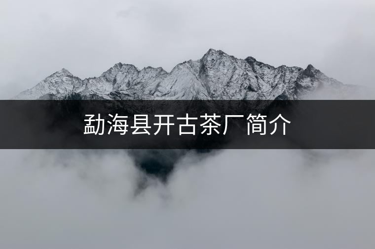 勐?？h開古茶廠簡介