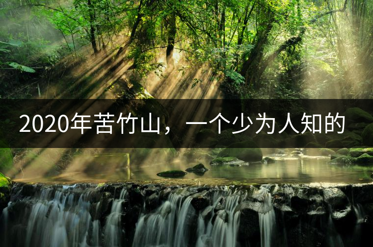 2020年苦竹山，一個(gè)少為人知的后起之秀！-易武中聘號(hào)