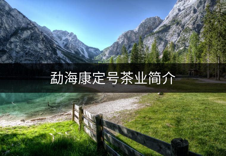 勐?？刀ㄌ柌铇I(yè)簡介