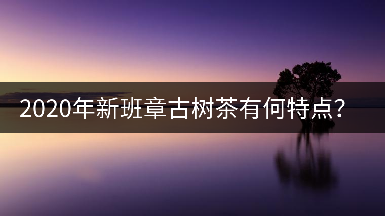 2020年新班章古樹茶有何特點(diǎn)？-易武中聘號