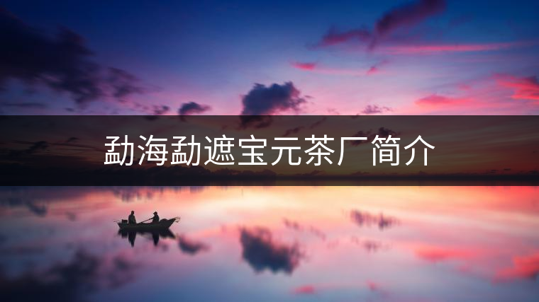 勐海勐遮寶元茶廠簡(jiǎn)介