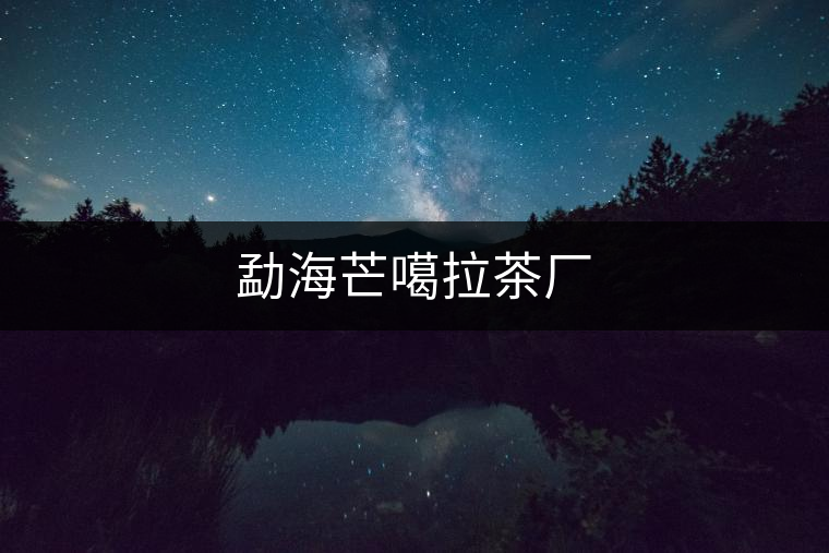 勐海芒噶拉茶廠 勐海芒噶拉茶廠