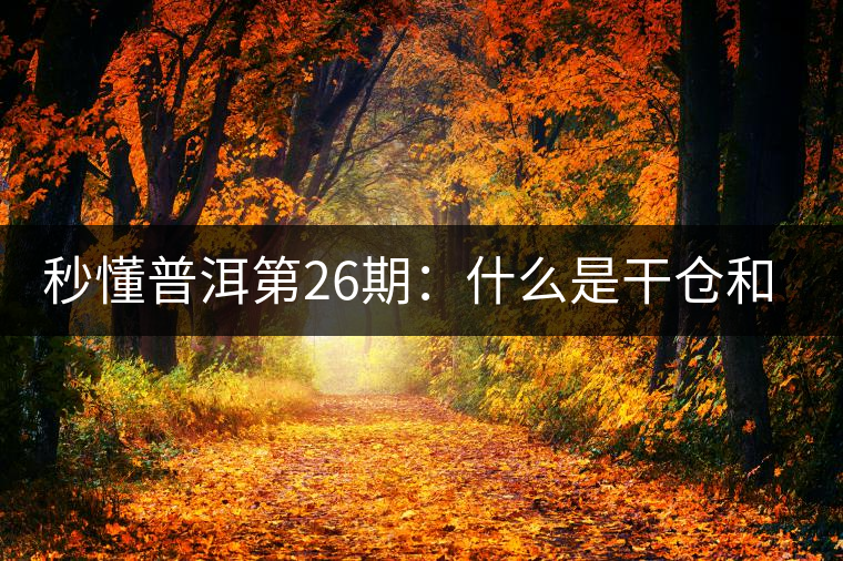秒懂普洱第26期：什么是干倉和濕倉？
