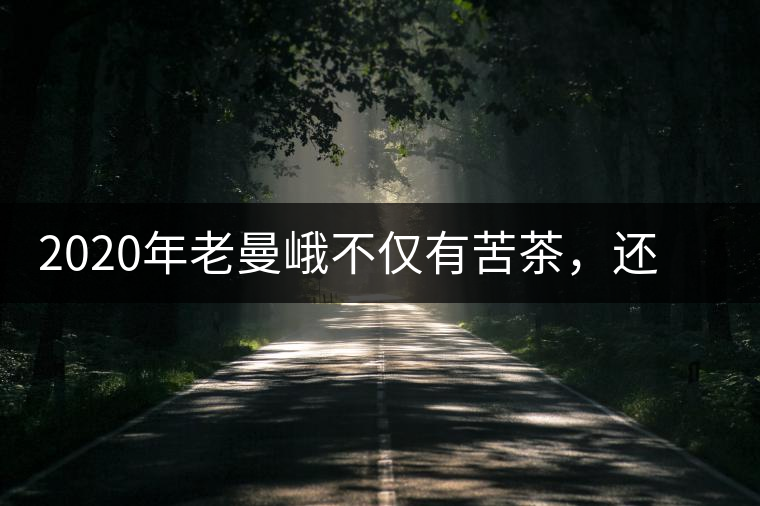 2020年老曼峨不僅有苦茶，還有甜茶你知道嗎？-易武中聘號