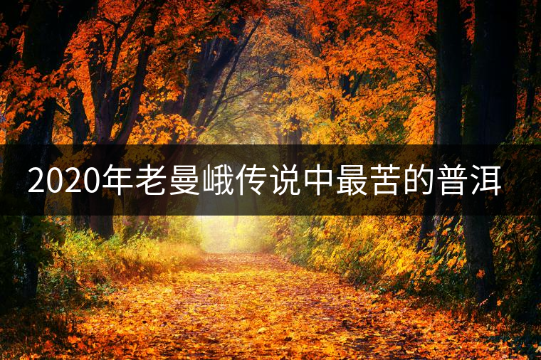 2020年老曼峨傳說中最苦的普洱茶-易武中聘號(hào) 2020年老曼峨傳說中最苦的普洱茶-易武中聘號(hào)