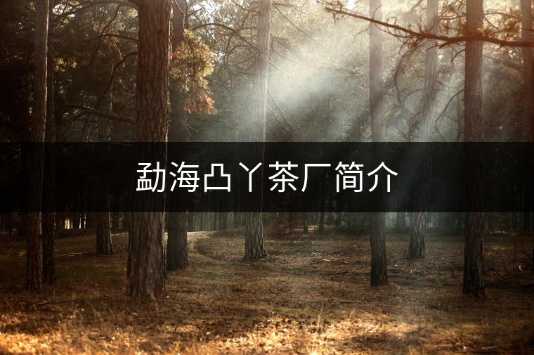 勐海凸丫茶廠簡介 勐海凸丫茶廠簡介