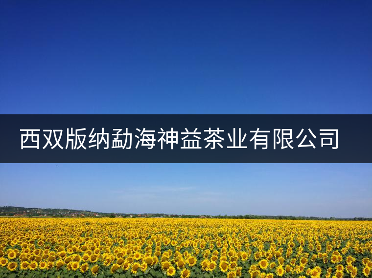 西雙版納勐海神益茶業(yè)有限公司簡介