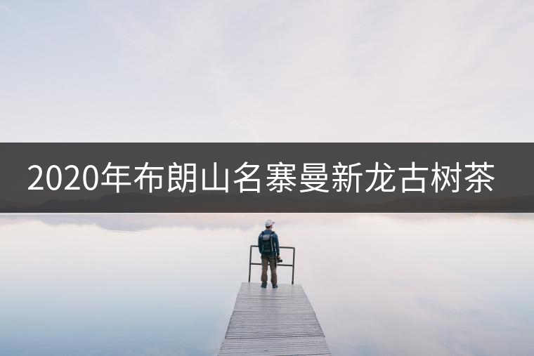 2020年布朗山名寨曼新龍古樹茶簡介-易武中聘號