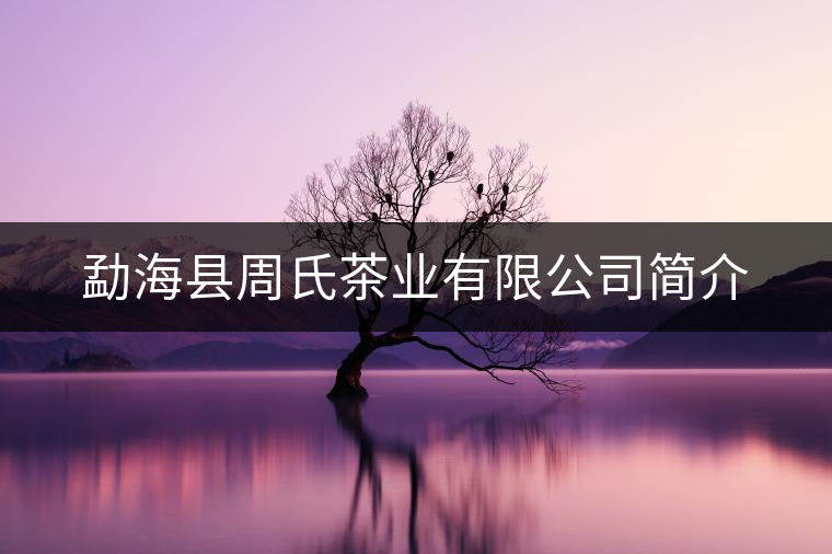 勐?？h周氏茶業(yè)有限公司簡介