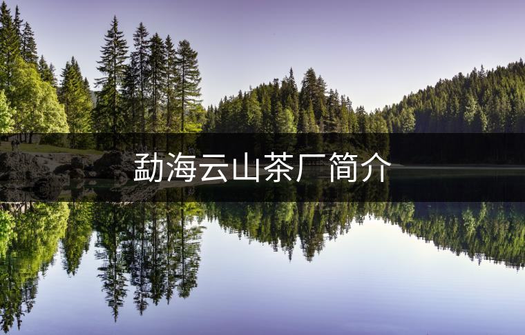 勐海云山茶廠簡介 勐海云山茶廠簡介