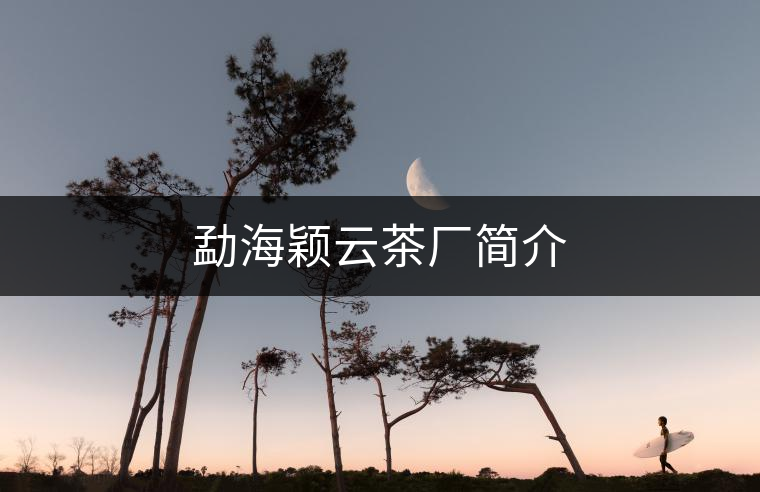 勐海穎云茶廠簡介 勐海穎云茶廠簡介
