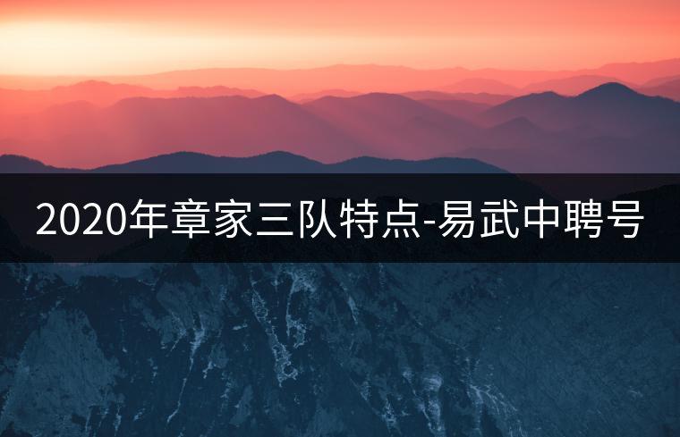 2020年章家三隊(duì)特點(diǎn)-易武中聘號(hào)