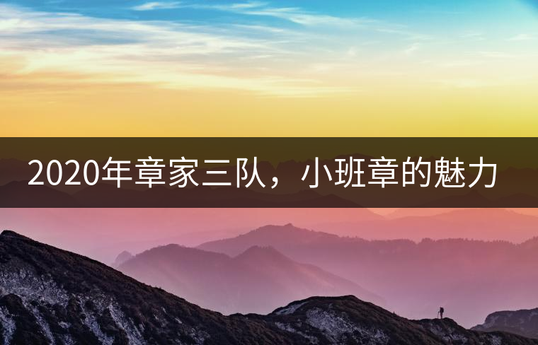 2020年章家三隊(duì)，小班章的魅力-易武中聘號(hào)