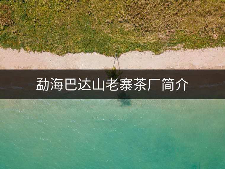 勐海巴達(dá)山老寨茶廠簡介