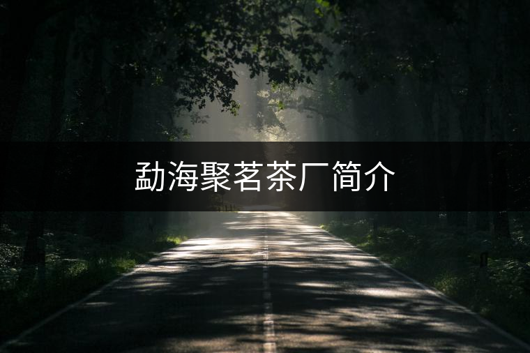勐海聚茗茶廠簡介