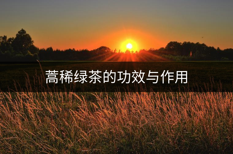 蒿稀綠茶的功效與作用
