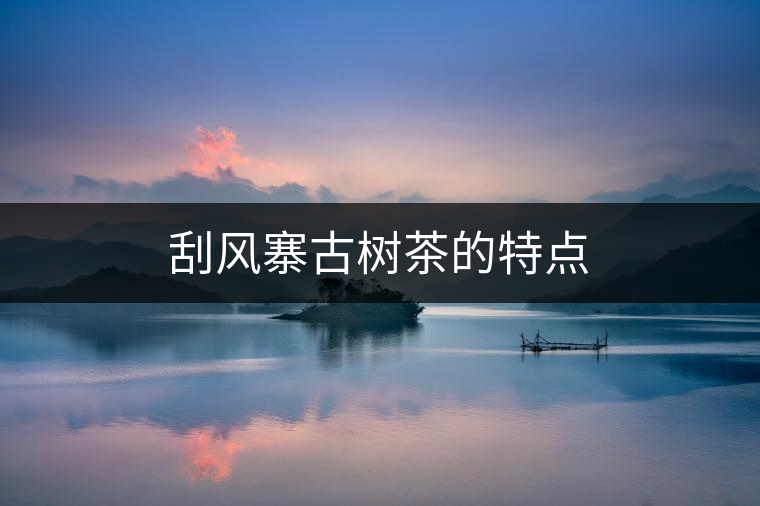 刮風(fēng)寨古樹茶的特點