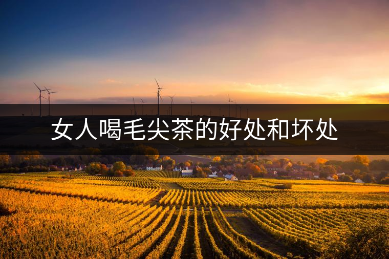 女人喝毛尖茶的好處和壞處