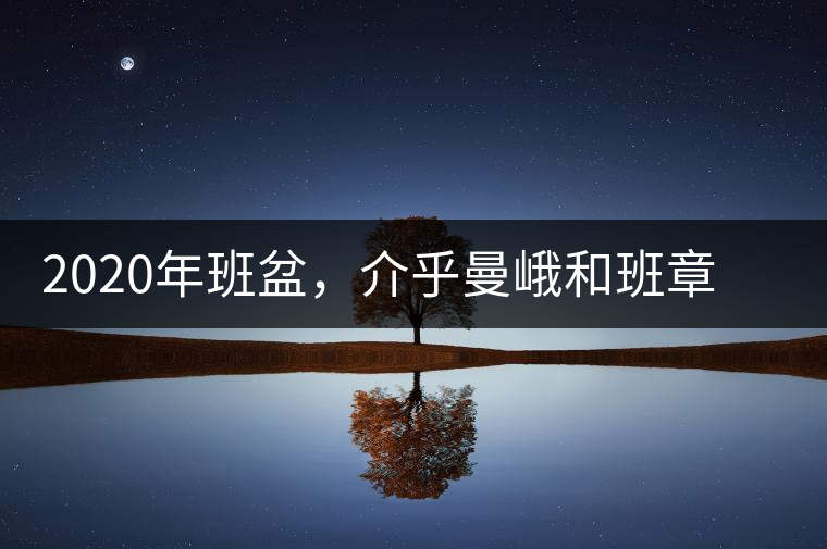 2020年班盆，介乎曼峨和班章間的“老漢子”-易武中聘號(hào)